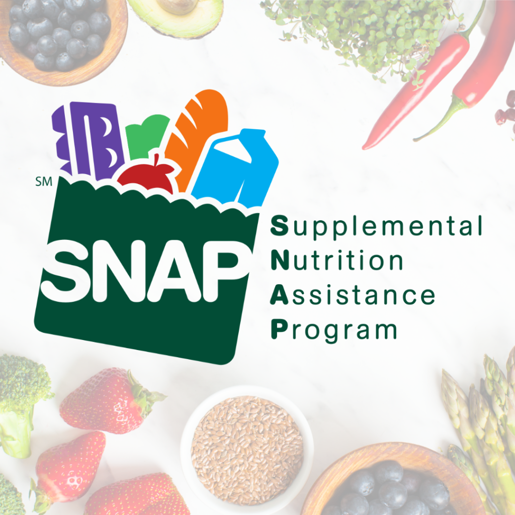 snap ebt program