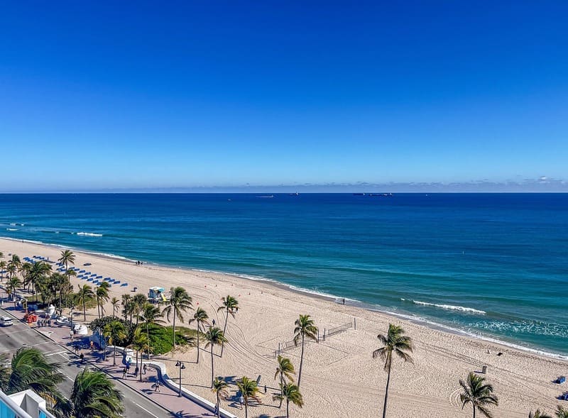 free phone miami 2