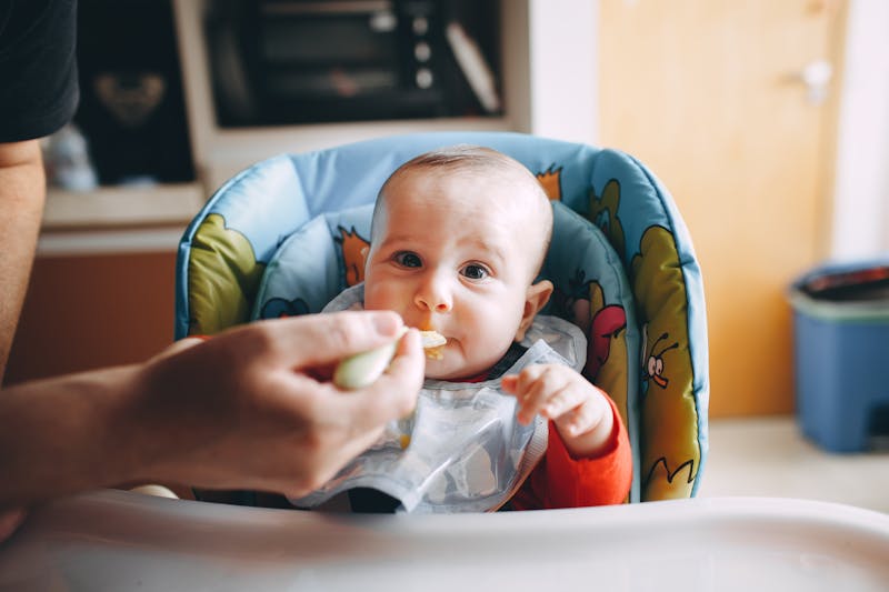 what do you get with wic benefits