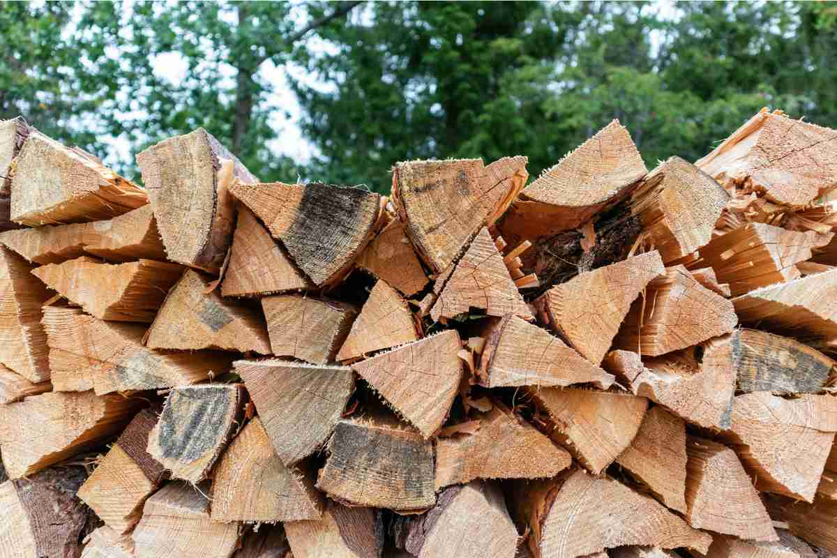 Free Firewood Near Me: How to Find Locally in 2026
